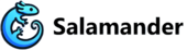 Salamander IT