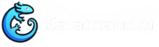 Salamander IT